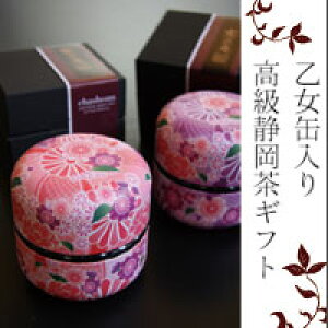 Mtg v[g pI  av[g 킢 v`ʃZbg 2ʃZbg É [ނ yY 蕨  eB[ v`Mtg [ Β { [