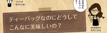 <こいうま深蒸し茶ポット用250包セット>【送料無料50包×5袋水出し緑茶お茶冷茶水だし水出し茶掛川牧之原ティーバッグティーバック静岡茶ギフトティーパックパック日本茶深むし茶深蒸し煎茶】