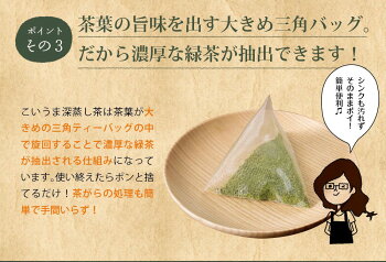 <こいうま深蒸し茶ポット用250包セット>【送料無料50包×5袋水出し緑茶お茶冷茶水だし水出し茶掛川牧之原ティーバッグティーバック静岡茶ギフトティーパックパック日本茶深むし茶深蒸し煎茶】