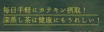 <こいうま深蒸し茶ポット用250包セット>【送料無料50包×5袋水出し緑茶お茶冷茶水だし水出し茶掛川牧之原ティーバッグティーバック静岡茶ギフトティーパックパック日本茶深むし茶深蒸し煎茶】