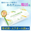 腸内フローラ検査 エクオール検査 chatFLORA G 腸活 便秘 下痢 ダイエット 検査キット 腸内細菌 腸内環境検査 チャッ…
