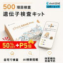 【9,900円OFFクーポン+P5倍】 遺伝子検査 chatGENE Pro ｜ 祖先 ハプロ 総合遺伝子検査キット DNA チャットジーンプロ…