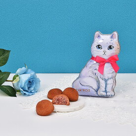 春ギフト 母の日 缶好き 猫好き 猫 フィナンシェ ギフト お菓子 缶 猫お菓子 可愛いお菓子 お菓子缶 おしゃれ スイーツ お取り寄せ 個包装 缶入り 焼き菓子 洋菓子 プレゼント 誕生日プレゼント 女性 女友達 プチギフト かわいい缶 贈り物 通販 手土産 シャトロワ
