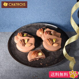 【送料無料】春ギフト 母の日 猫好き チョコサブレ ギフト ねこ サブレ 高級 お菓子 かわいいお菓子 可愛い チョコレート ミルク 個包装 プレゼント 高級 お菓子 洋菓子 スイーツギフト セット お取り寄せスイーツ スイーツ 通販 シャトロワ CHATROIS 猫モチーフ ミヌー
