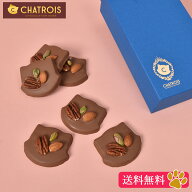 【送料無料】春ギフト 母の日 猫好き チョコサブレ ギフト ねこ サブレ 高級 お菓子 かわいいお菓子 可愛…