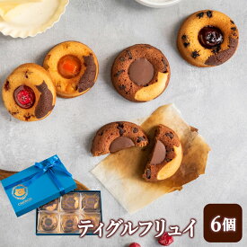 スイーツ ギフト ティグルフリュイ 6個入 フィナンシェ 洋菓子 焼き菓子 焼菓子 お菓子 かわいいお菓子 高級菓子 ご褒美スイーツ 可愛い ギフト 個包装 アソート プラリネ アプリコット フランボワーズ ベリー シャトロワ CHATROIS