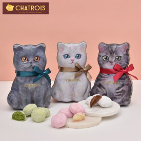 春ギフト 母の日 猫好き お菓子缶 猫 Otete～ブールドネージュ～ お菓子 缶 猫お菓子 可愛いお菓子 おしゃれ スイーツ お取り寄せ 缶好き 焼き菓子 洋菓子 プレゼント 誕生日プレゼント スイーツ プチギフト かわいい缶 贈り物 手土産 通販 シャトロワ