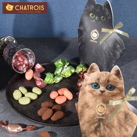 ティラミスチョコレート ティラミスチョコ アーモンドチョコ 猫 お中元 夏 サマー ギフト プチギフト ひとくちチョコ 猫モチーフ 猫パッケージ お菓子 ちょっとした プレゼント 猫好き 誕生日 贈り物 かわいい 美味しい キトン・ティラミスアーモンドショコラ ホワイトデー