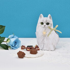 春ギフト 母の日 猫モチーフ 猫チョコ 猫型 パッケージ スイーツ お菓子 高級チョコレート プレゼント ネコ ボンボンチョコ チョコ 可愛い 個包装 ちょっとした お礼 手土産 取り寄せ 通販 キトン・キャラットショコラ CHATROIS シャトロワ