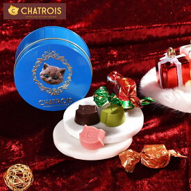クリスマス お歳暮 チョコレート 猫型チョコレート スイーツ キャラットショコラ 缶入り 缶好き お菓子 かわいい おしゃれ プチギフト 猫ギフト 猫 お菓子 チョコ アソート 可愛いチョコ もらって嬉しい プレゼント 女性 手土産 チョコお菓子 お土産 高級 猫モチーフ 通販