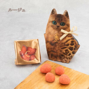 nEB Ε LpbP[W XC[c َq ʔ L `R ܂邲  `R zCg`R  R[eBO `R Xgx[ XC[c 