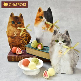 お中元 夏ギフト サマーギフト 猫 お菓子 スイーツ ギフト 猫パッケージ チョコがけいちご まるごと苺 いちご チョコ ホワイトチョコ 抹茶 コーティング チョコいちご ストロベリー 可愛い ネコ 猫好き プレゼント 手土産 お礼 苺トリュフ 猫スイーツ ★おでかけ子猫BAG対象