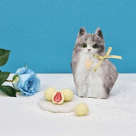 ホワイトデー 猫パッケージ スイーツ お菓子 通販 猫 チョコがけいちご まるごと苺 いちご チョコ ホワイ…