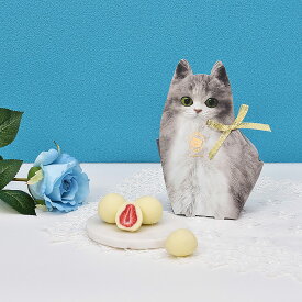 春ギフト 母の日 猫パッケージ スイーツ お菓子 通販 猫 チョコがけいちご まるごと苺 いちご チョコ ホワイトチョコ 抹茶 コーティング チョコいちご ストロベリー 可愛いスイーツ 可愛いお菓子 ネコ 猫好き プレゼント 手土産 お礼 苺トリュフ 猫スイーツ
