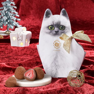 Ԍ LgE䕂̋VR JJI NX}X Ε CHATROIS łqLobN ˂ `R t[c`R[g `R[g Lَ̂q َq َq 