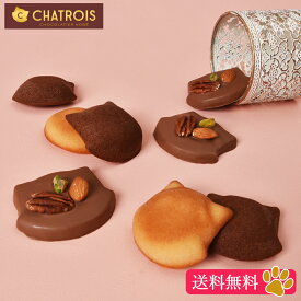 送料無料 春ギフト 母の日 スイーツ ギフト チョコサブレ サブレ フィナンシェ セット 高級 お菓子 かわいいお菓子 可愛いお菓子 チョコレートお菓子 洋菓子 ギフト プレゼント 個包装 セット お取り寄せスイーツ 猫好き 女性 子猫たちのお茶会 シャトロワ 猫モチーフ