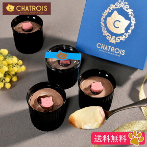 yzNX}X Ε `[YP[Lƃv Mtg Vg v VR َq LXC[c ˂ XC[c JX^[hv `Rv    L