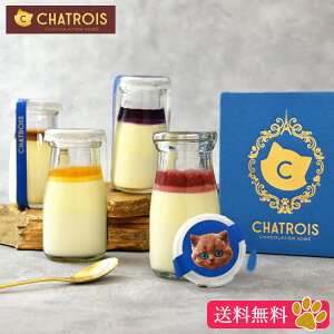 yzNX}X Ε A`[YP[L `[YP[Lƃv XC[c َq ʔ Mtg  `[Y P[L piRb^    v[g  