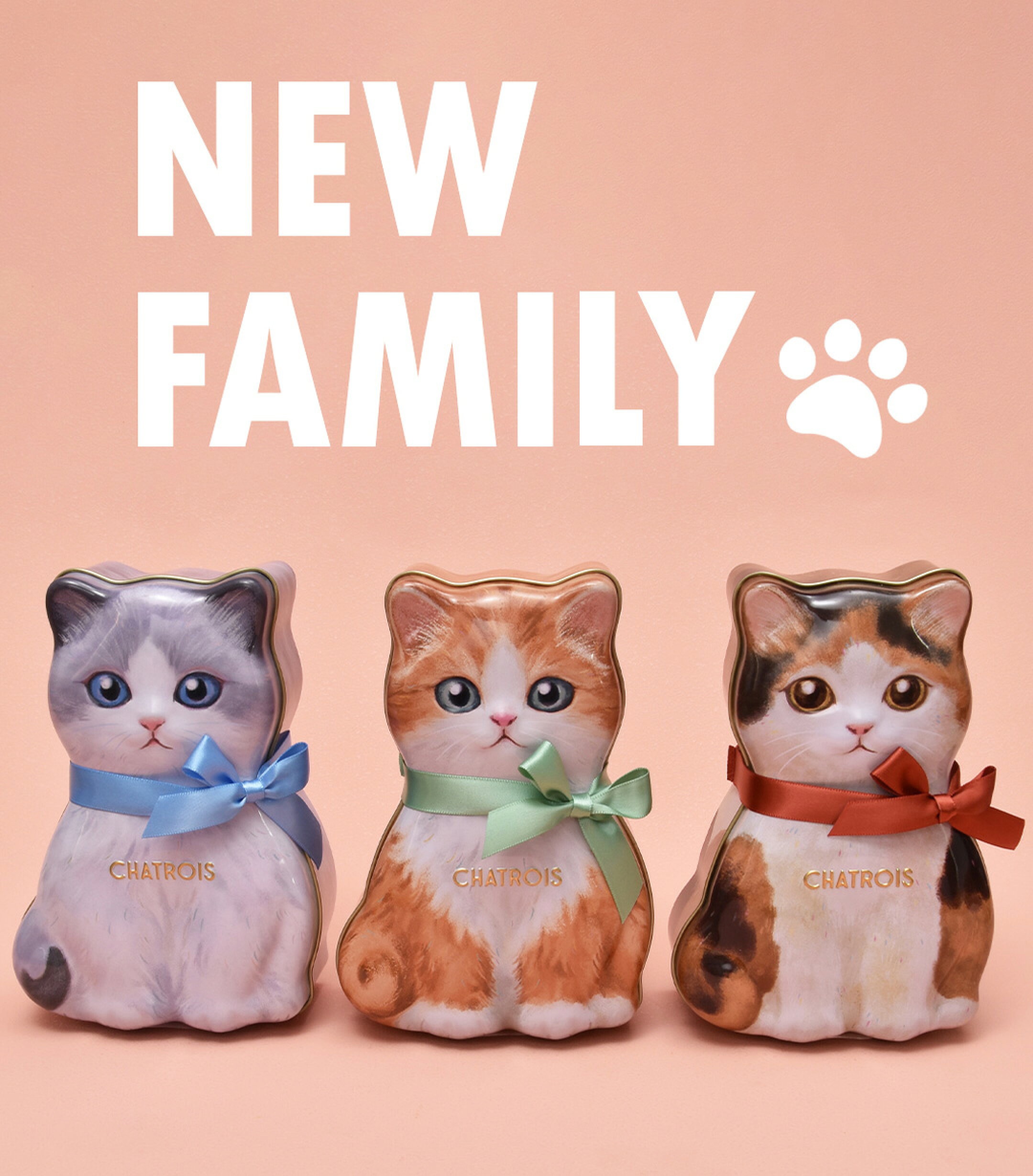 新登場かわいい猫缶スイーツ　猫モチーフのさくさくクッキー