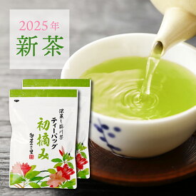 【2025年産 新茶】 初摘み ティーバッグ (3g×20包×2パック) 糸付き ナイロン 緑茶 ティーパック 送料無料 ／ 静岡県産 深蒸し茶 掛川茶 煎茶 高級緑茶 茶葉 お茶 セット 新茶