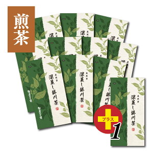 [|쒃 10+1{Zbg (100gܓ×11{)  [ |쒃 Β  t Β É É [ Zbg  lC    Mtg v[g JeL