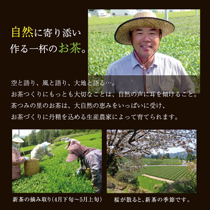 楽天市場】ほうじ茶 ティーバッグ 2.5g×100個入 送料無料 お茶 お徳用 大容量 100包 焙じ茶 ティーパック お得用 冷茶 業務用 まかない オフィス 深むし茶 深蒸し茶 緑茶 日本茶 買い回り : 日本茶・健康茶専門店 茶つみの里 楽天市場】ほうじ茶 ティーバッグ 2.5g×100個入 送料無料 お茶 お徳用 大容量 100包 焙じ茶 ティーパック お得用 冷茶 業務用 まかない オフィス 深むし茶 深蒸し茶 緑茶 日本茶 買い回り : 日本茶・健康茶専門店 茶つみの里