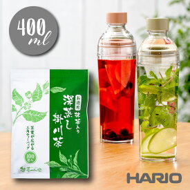 お徳用 深蒸し掛川茶 ティーバッグ ＋ フィルターインボトル・ポータブル 容量 400ml (A：スモーキーグリーン／FIBP-40-SG、B：スモーキーピンク／FIBP-40-SPR)ハリオ 水筒 マイボトル お茶 緑茶 食洗器対応 水出し 抹茶 シェイカー 耐熱