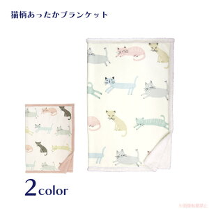 U˂uPbg(LObY lRG ˂ 킢 glR {An 傫߃TCY Ђ| ItBX[Nɂ  2022awj 051-H871