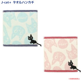 【メール便対応】J−CAT＋　タオルハンカチ （ノアファミリー 黒猫 ネコ雑貨 ねこ柄 女性 プチギフト お礼 お返し かわいい ）051-K36 2016SS