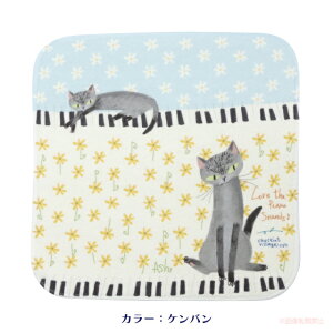 y|Cg10{I11/20 20:00`11/27 01:59zy[֑ΉzAbV^InJ`(LObY lRG ˂ 킢 ԕ sAm  ~jTCY 蕨j 051-C-K003