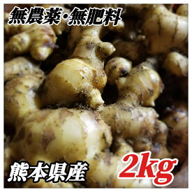 生姜 無農薬 無肥料 2kg 熊本県産 送料無料 野菜 農薬栽培期間中不使用 ジンジャーシロップ