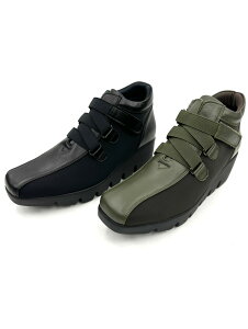 lCtBY[̉KRtH[gEH[LOV[Y 2025NV 5003 L^s\[  ₷ ₷ O NbV ᔽ {v/Xgb` { 