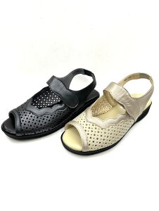 FIZZREEN tBY[2024N  5170 RtH[g EH[LOT_ OΉ  ₷ ₷ NbV ᔽ U[ { fB[X 4E v ubN 