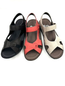 lCPut's2025N 2025NV 88044 D KRtH[g EH[LOT_  ₷ ₷ NbV ᔽ U[ { fB[X 3E v ubN bh 