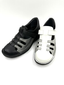 Put's 2025NV ł炭񗚂₷ OJEH[LOV[Y KT|[gC\[ O fB[X ₷  {v {  zCg 3E   tďH 