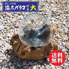 楽天市場 大 流木の通販