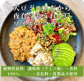 チャヤマクロビ ソイキーマカレー レトルト 160g 1個