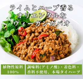 チャヤマクロビ ヴィーガンガパオ レトルト 110g 1個