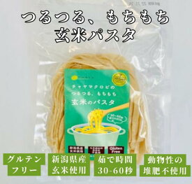チャヤマクロビ 玄米パスタ（太麺） 100g 1個