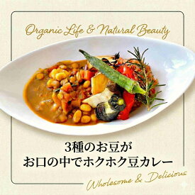 チャヤマクロビ 豆カレー レトルト 200g 1個 国産 無添加 常温保存 長期保存 スパイス ベジタブルカレー 野菜カレー スパイシーカレー 防災 保存食 ヴィーガン マクロビ プラントベース