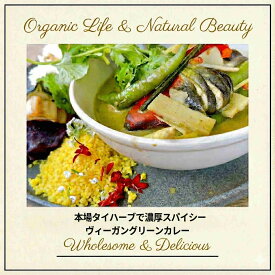 チャヤマクロビ ヴィーガングリーンカレー レトルト 180g 1個 国産 無添加 常温保存 長期保存 スパイス ベジタブルカレー 野菜カレー スパイシーカレー 防災 保存食 ヴィーガン マクロビ プラントベース