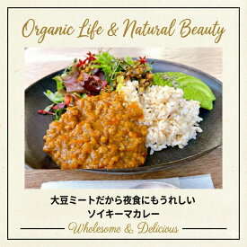 チャヤマクロビ ソイキーマカレー レトルト 160g 1個 国産 無添加 常温保存 長期保存 スパイス ベジタブルカレー 野菜カレー 中辛 防災 保存食 ヴィーガン マクロビ プラントベース