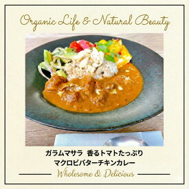 【美味しくリニューアル】チャヤマクロビ マクロビバターチキンカレー レトルト 180gX1個 国産 無添加 常温保存 長期保存 スパイス ベジタブルカレー 野菜カレー スパイシーカレー 防災 保存食 ヴィーガン マクロビ プラントベース