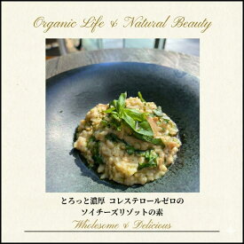 チャヤマクロビ ソイチーズリゾットの素 レトルト 140g 1個