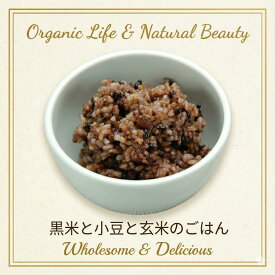 チャヤマクロビ 黒米と玄米ごはん 小豆入り レトルト 160g 1個