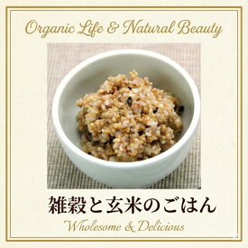 チャヤマクロビ 雑穀入り玄米ごはん レトルト 160g 1個