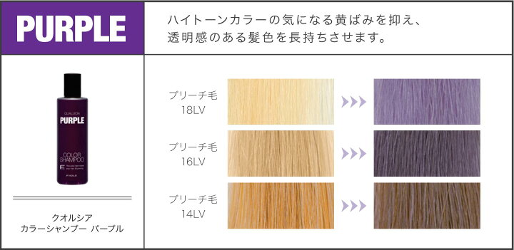 楽天市場】フィヨーレ FIOLE フィオーレ クオルシア カラーシャンプー 