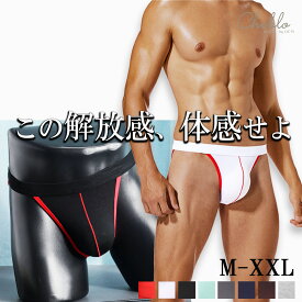 メンズビキニ 男性ビキニショーツ ふんどしパンツ ビキニブリーフ メンズ下着 メンズショーツ ビキニ ふんどし ふんどし風 男性下着 アンダーウェア メンズ 肌着 タンガビキニ タンガ 1000円 ポッキリ ぽっきり 送料無料
