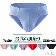 ブリーフパンツ 単品 セット ビキニ ブリーフ メンズ 下着 アンダーウェア メッシュ パンツ 男性 メンズ…