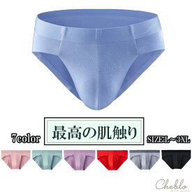 ブリーフパンツ 単品 セット ビキニ ブリーフ メンズ 下着 アンダーウェア メッシュ パンツ 男性 メンズ下着 男性用 下着 肌着 ビキニブリーフ シンプル かっこいい 肌触り 赤パンツ 赤ブリーフ 赤色 Cheblo チェブロ